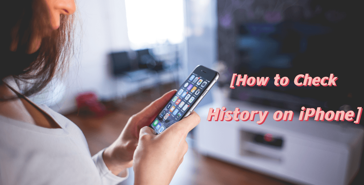 how to check the history of an  iPhone