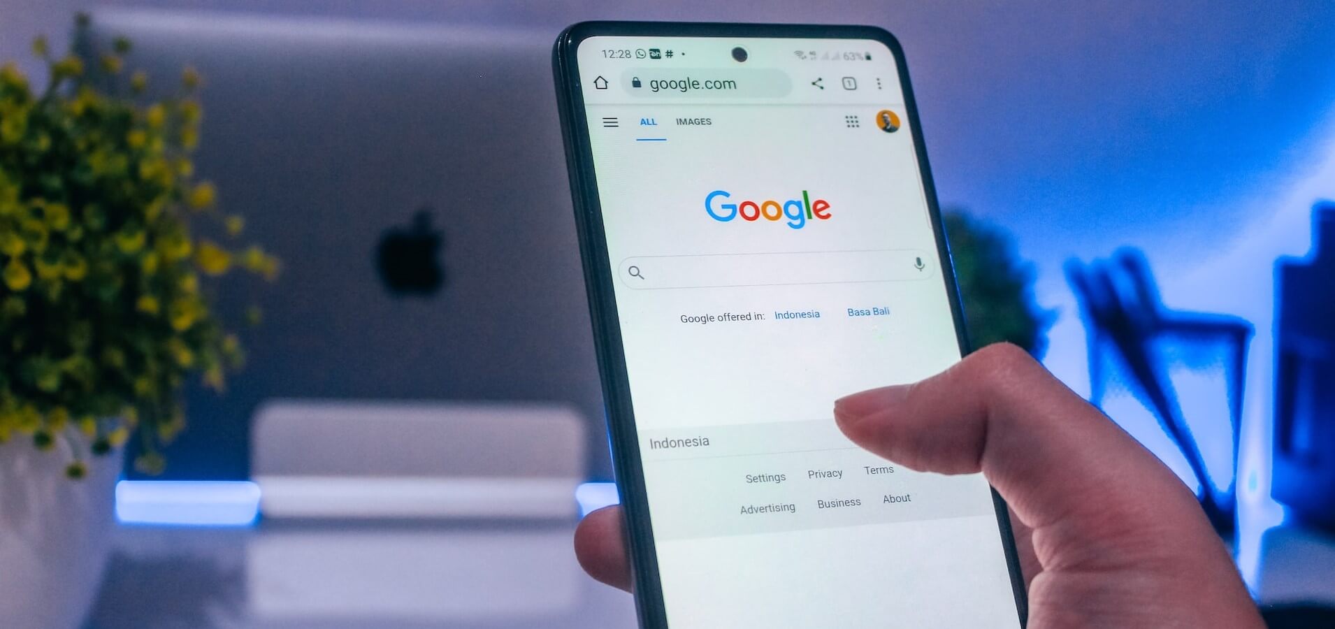 how to check search history on iphone