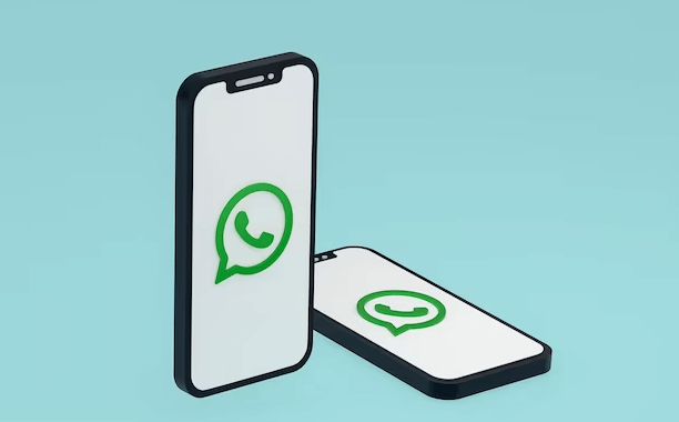 how  to track WhatsApp call history