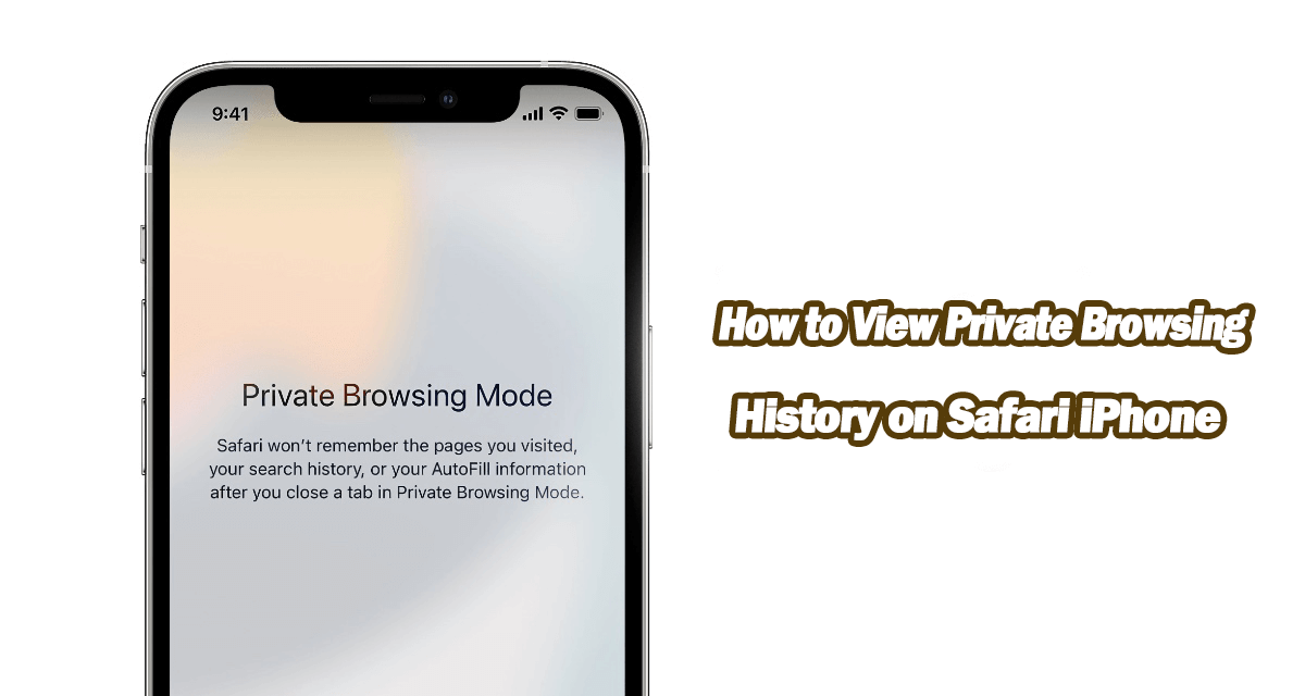 how to view private browsing history on Safari iPhone