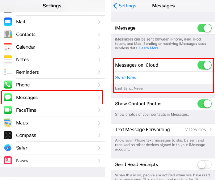Accessing Text Messages Through icloud
