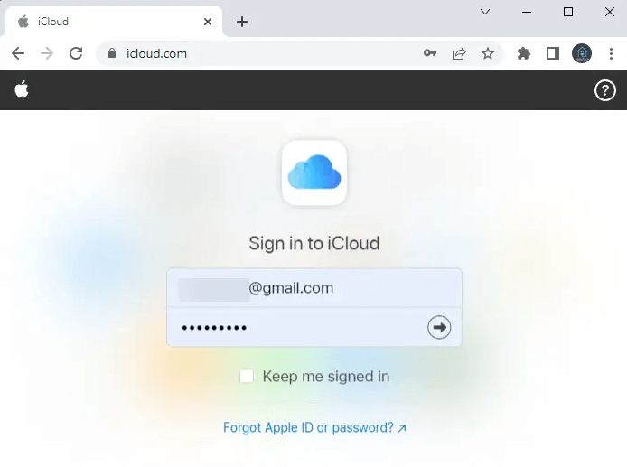 Sign in with your Apple ID and password.