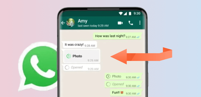 WhatsApp view once screenshot