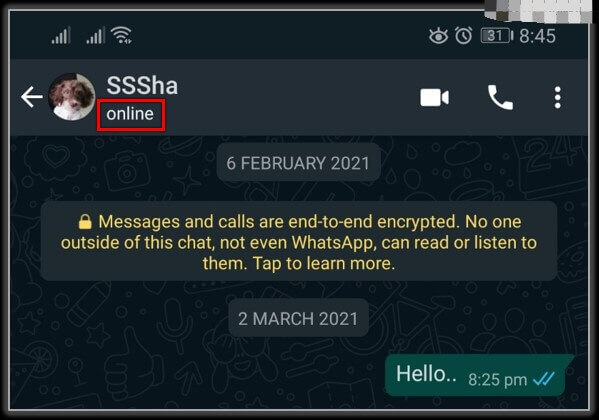 whatsapp-online