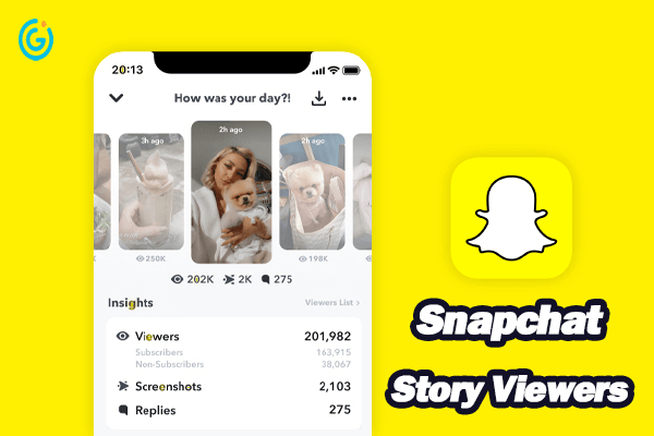 snapchat story viewer